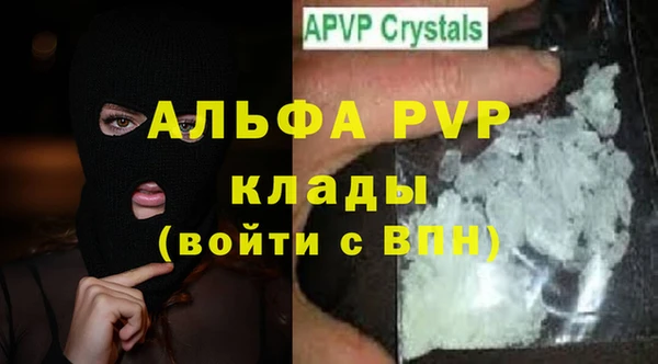 индика Балахна