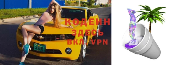 индика Балахна
