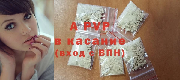 индика Балахна