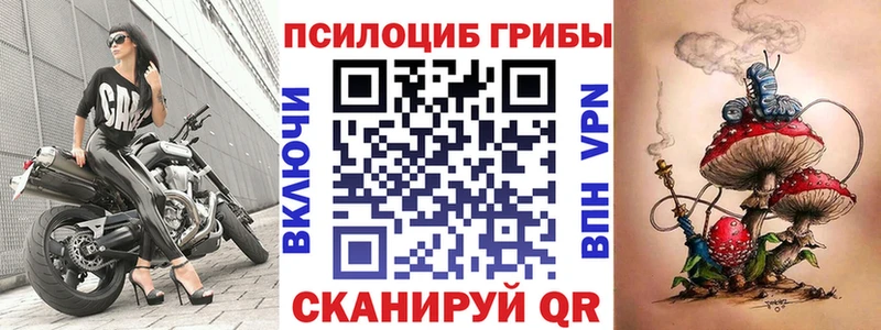 Галлюциногенные грибы Psilocybine cubensis  Торопец 