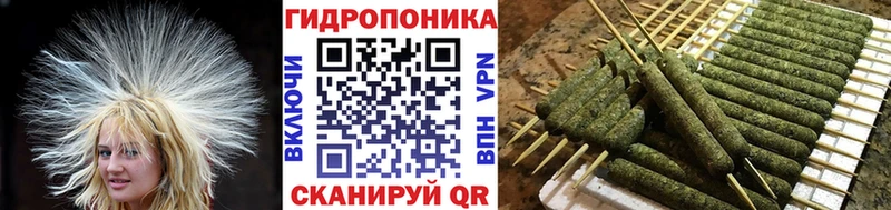 Бошки марихуана Amnesia  Торопец 